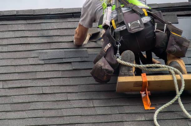 Best Roof Repair Services  in Three Rivers, MI