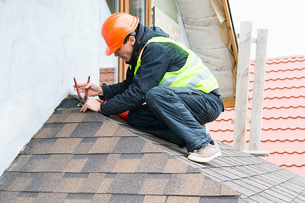 Best Local Roofing Companies  in Three Rivers, MI