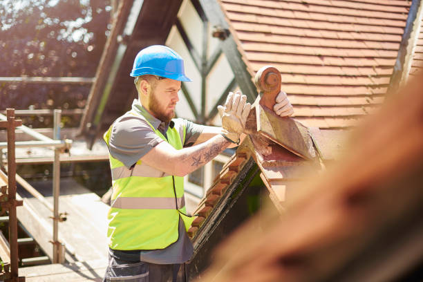 Best Roof Gutter Cleaning  in Three Rivers, MI